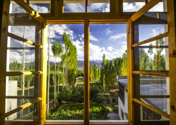 Wood Window Replacement in Yuba City