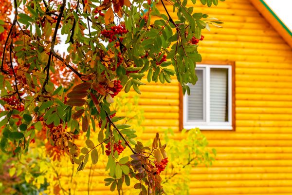 Cost of Garden Window Replacement in Yuba City